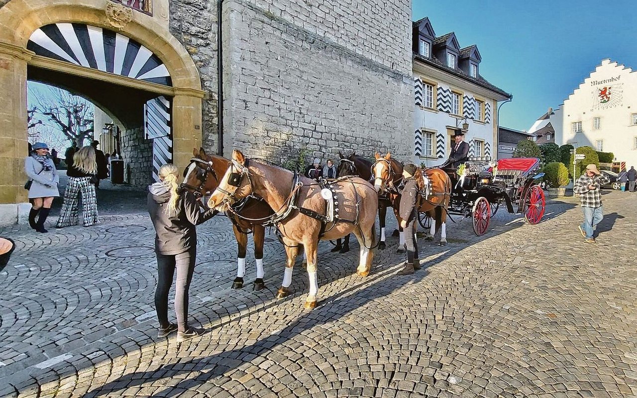 Vier Freiberger für ein Halleluja. In Murten gab es am Samstag eine Hochzeit mit Viererzug.