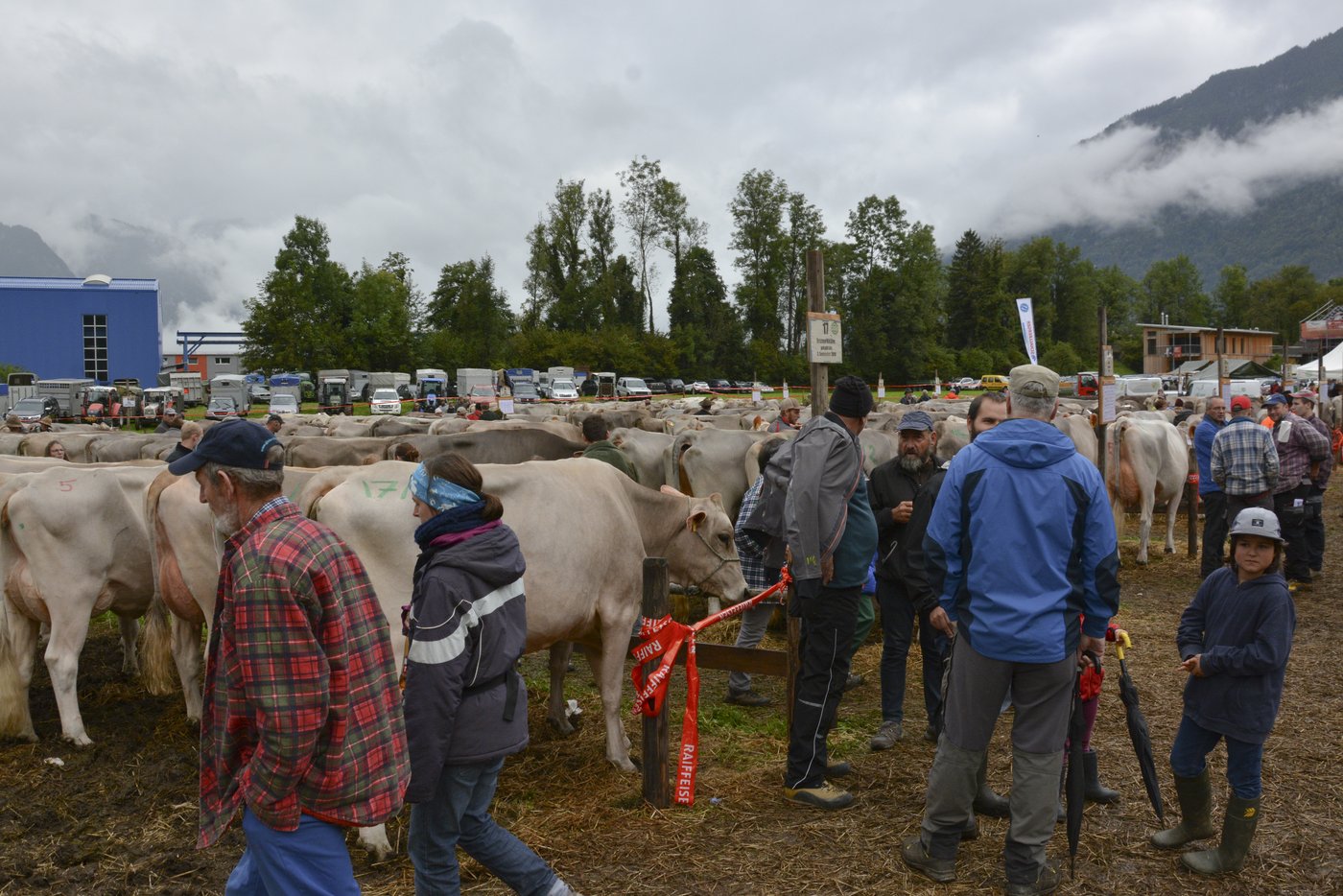 Der neue Schauplatz auf der Bärenmatt in Schattdorf hielt den Erwartungen stand.
