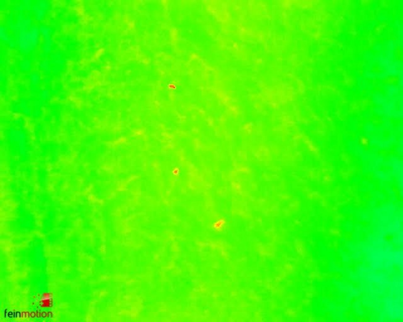 In dieser Wiese liegen drei Rehkitze - erkennbar sind sie als rote Punkte. 