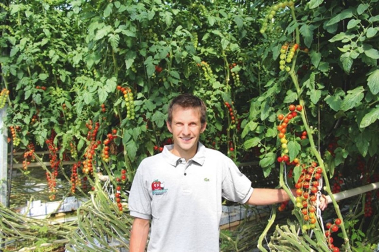 Beispiel einer erfolgreichen Karriere: Davide Cattori ist Gemüsegärtner mit Meisterabschluss. Aktuell ist er in der Familien AG „Agrotomato SA“ verantwortlich für die Freilandproduktion. (Bild SBV)