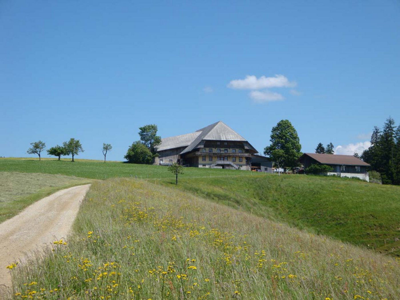 Auch in der Landwirtschaft solle verdichteter gebaut werden, so der BBV. (Symbolbild ji)