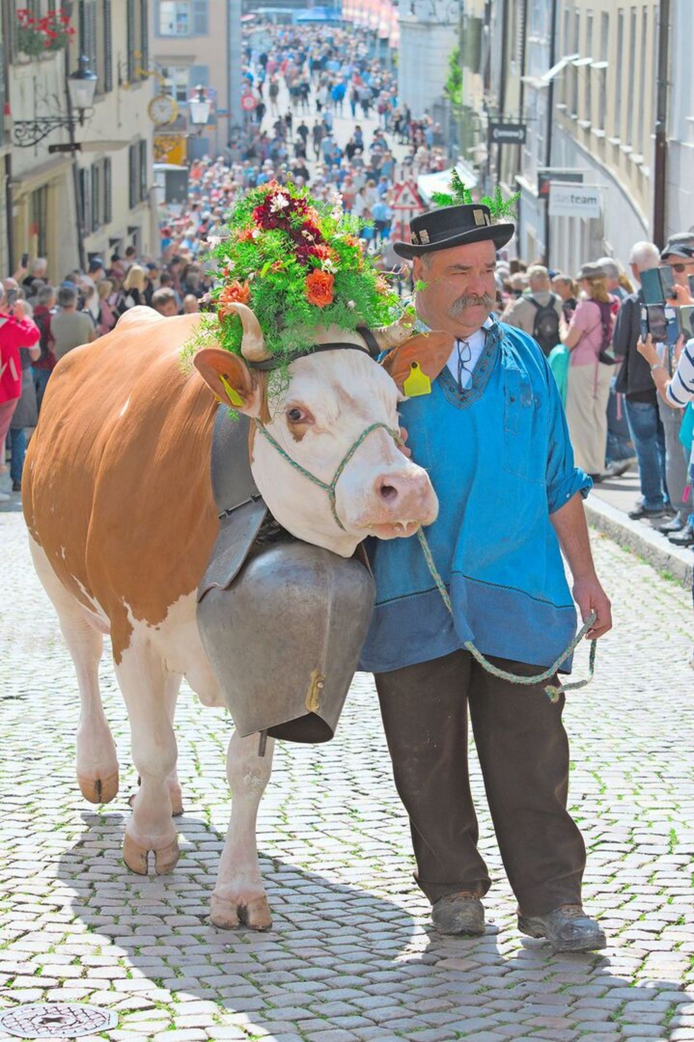Die Kühe wurden für den Alpabzug wunderschön geschmückt. Das Treichelgeläut hallte durch die Altstadt.