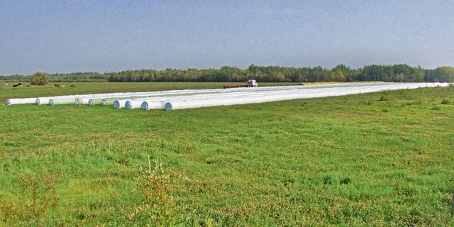 Familie Ruckstuhl und die  Crew haben wacker gearbeitet. Das Heuen war wegen des schlechten Wetters schwierig, aber es konnten knapp 2500 Siloballen und rund 500 Gersten-Strohballen gemacht werden.
