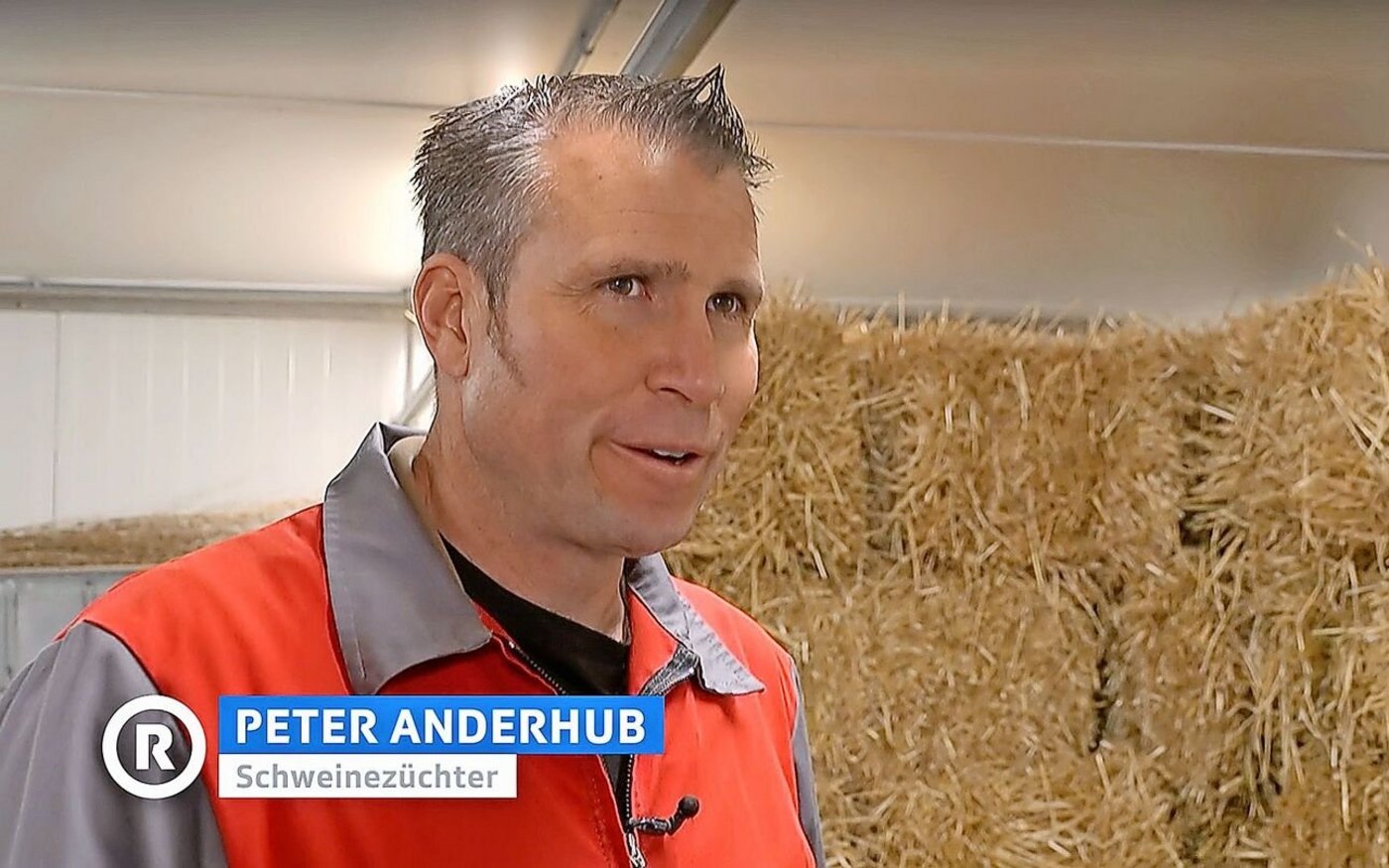 Peter Anderhub gibt im Beitrag der «Rundschau» Einblick in seine Arbeit auf dem Schweinebetrieb im aargauischen Muri. Er spricht offen über die Ferkelkastration.  