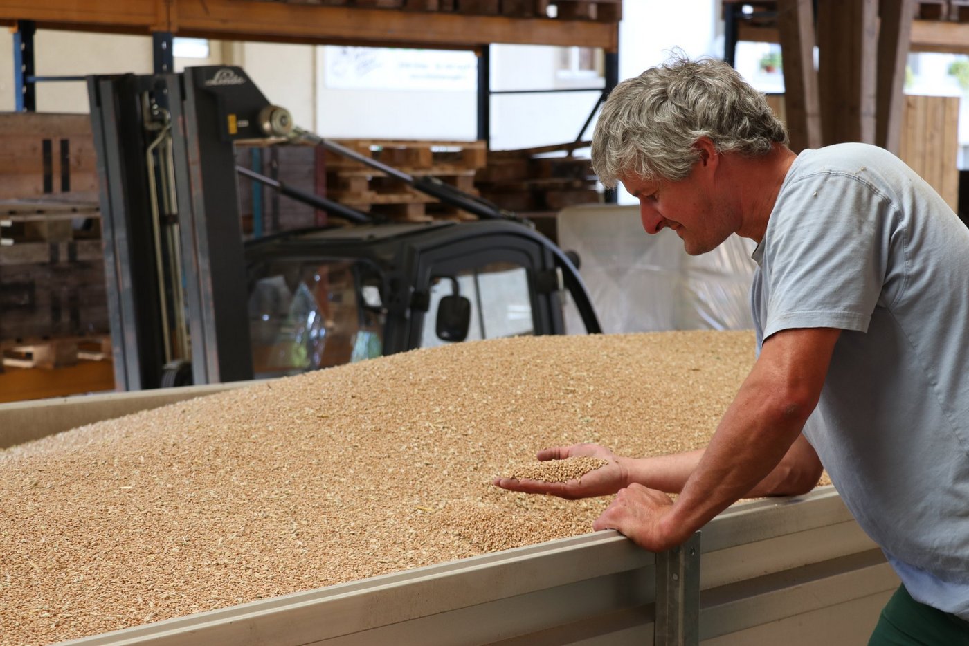 Alfred Vogt ist zufrieden mit seinem Weizen, den er diese Woche geerntet und in der Mühle Scherz abgeliefert hat. Er stellt in diesem Jahr nur einen minimen Unterschied zwischen herbizidfrei angebautem und behandeltem Weizen fest. (Bild Ruth Aerni)