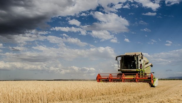 Schätzungen zufolge wird die niedrigste Welt-Weizenernte der letzten fünf Jahre eingebracht werden. (Bild Pixabay)