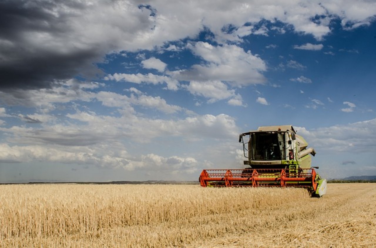 Schätzungen zufolge wird die niedrigste Welt-Weizenernte der letzten fünf Jahre eingebracht werden. (Bild Pixabay)