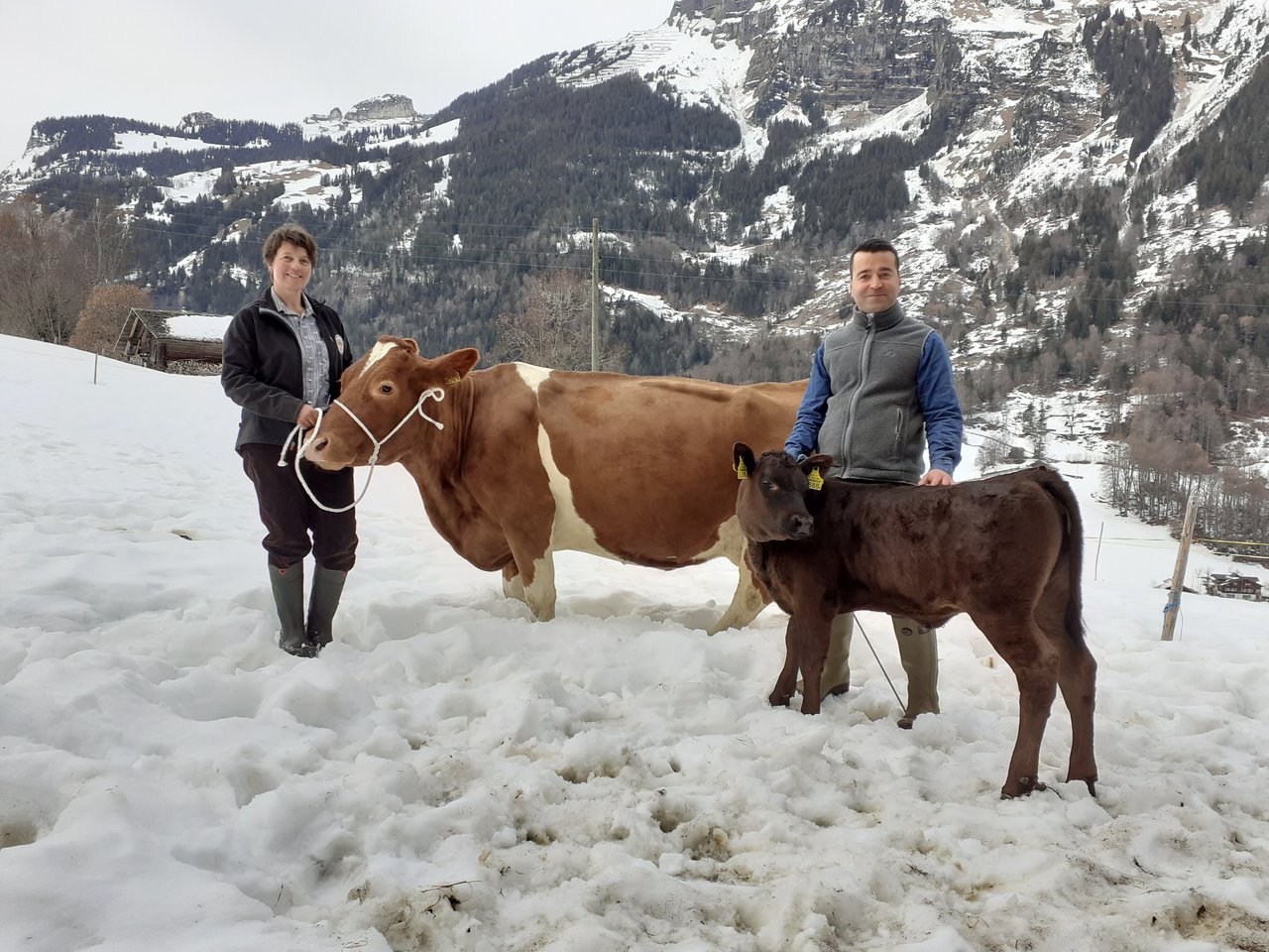 Besitzerin Marianne Wyss und Tierarzt Cagri Binici freuen sich über die erfolgreiche Behandlung der Kuh Paloma und über das gesunde Kuhkalb Papaya. (Bild pd)