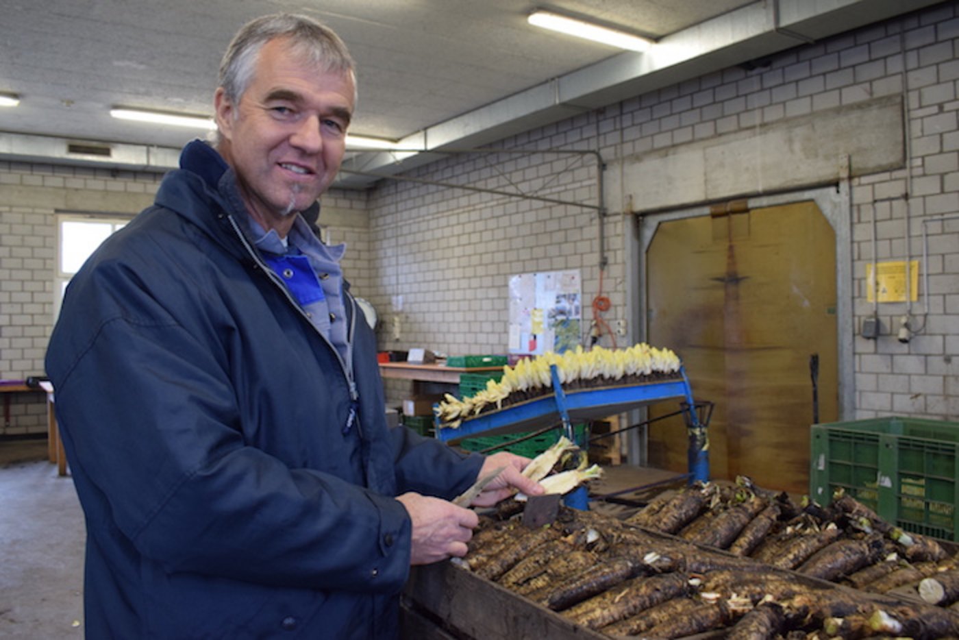 Gemüsebauleiter Markus Schumacher produziert auf dem Tannenhof Wurzel und Zapfen. (Bilder ey)