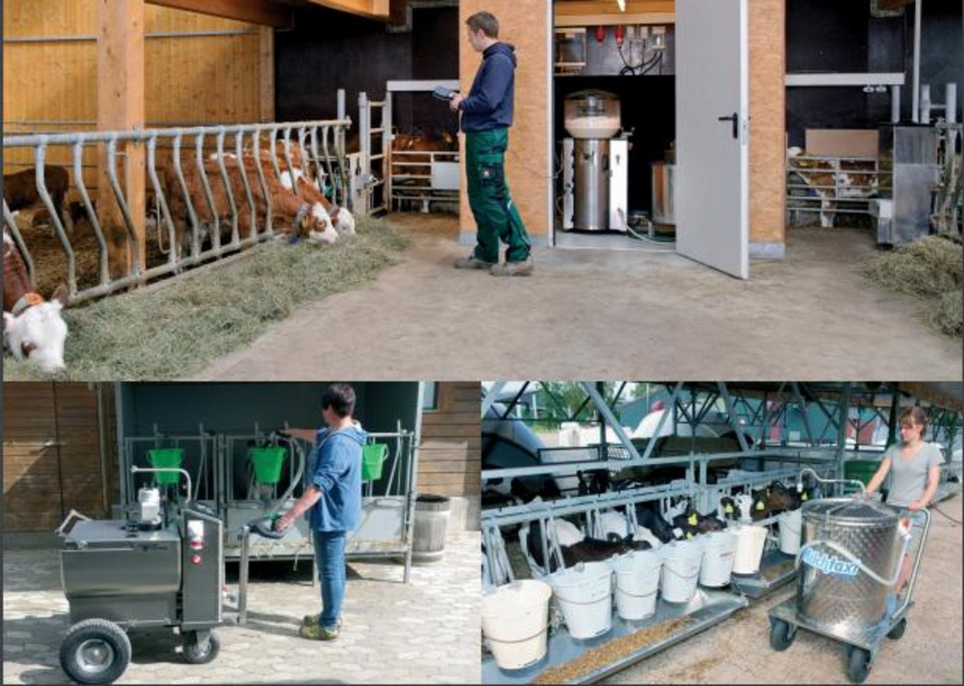 Der Strickhof Beef-Tag widmet sich dem Thema Abtränkesystem. (Bild zVg)