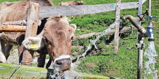 Auf vielen Alpen ist genügend Wasser vorhanden, es fehlt jedoch an intakten Reservoiren mit genügend Kapazität, um die wertvolle Ressource zu speichern.