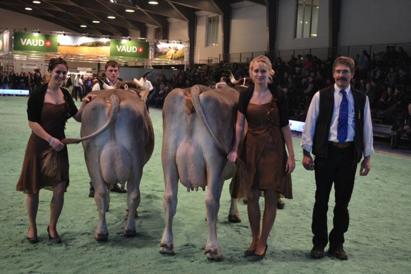 Schöneuter (rechts): Gold Fortuna, Alfred und Judith Anderegg, Meiringen und die Reserve Schöneuter: Eldorado Zilla, Alfred und Judith Anderegg, Meiringen