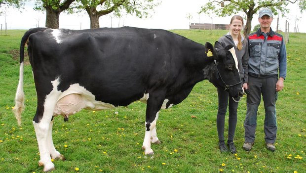 Markus Wyss und seine Tochter Michelle mit ihrer Holsteinkuh Rudolph Haiti. Sie ist schon jetzt eine Legende. (Bild Peter Fankhauser