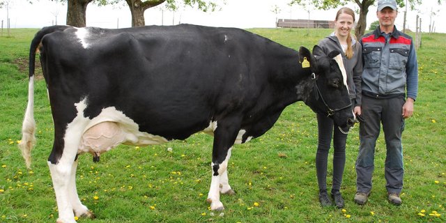 Markus Wyss und seine Tochter Michelle mit ihrer Holsteinkuh Rudolph Haiti. Sie ist schon jetzt eine Legende. (Bild Peter Fankhauser