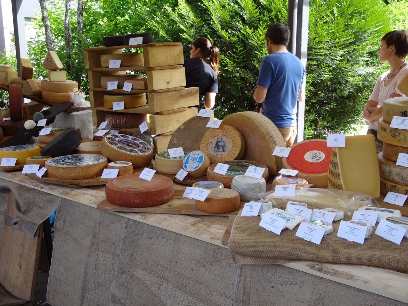 Das Käsebuffet für den Weltrekordversuch. (Bild zVg)