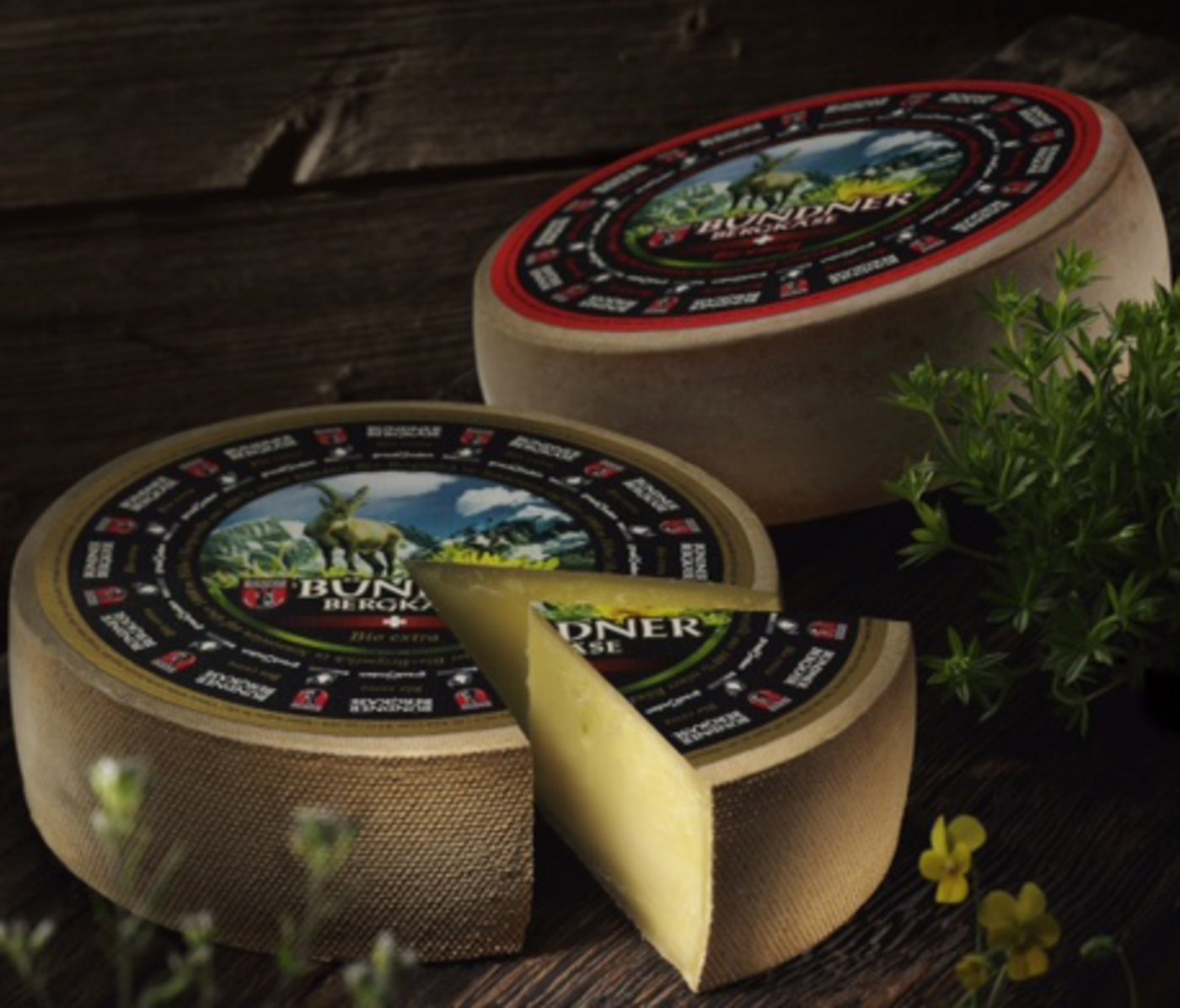 Der siegreiche Bündner Bergkäse aus Splügen. (Bild pd)