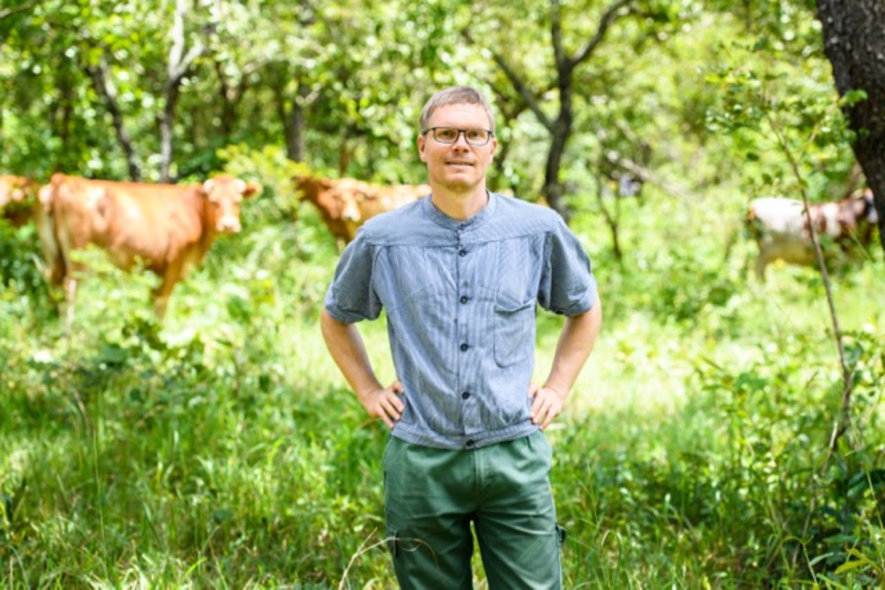 Der Autor mit Schweizer Melkerbluse im sambischen Busch zur Regenzeit. Zurzeit mangelt es nicht an Futter für Kuh & Co. Doch die nächste Trockenzeit kommt schon bald. (Bild Jason J. Mulikita für WOZ)