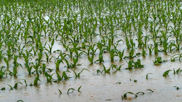 Durch die starken Niederschläge kam es zu lokalen Überschwemmungen. (Symbolbild ©Gina Sanders - stock.adobe.com)