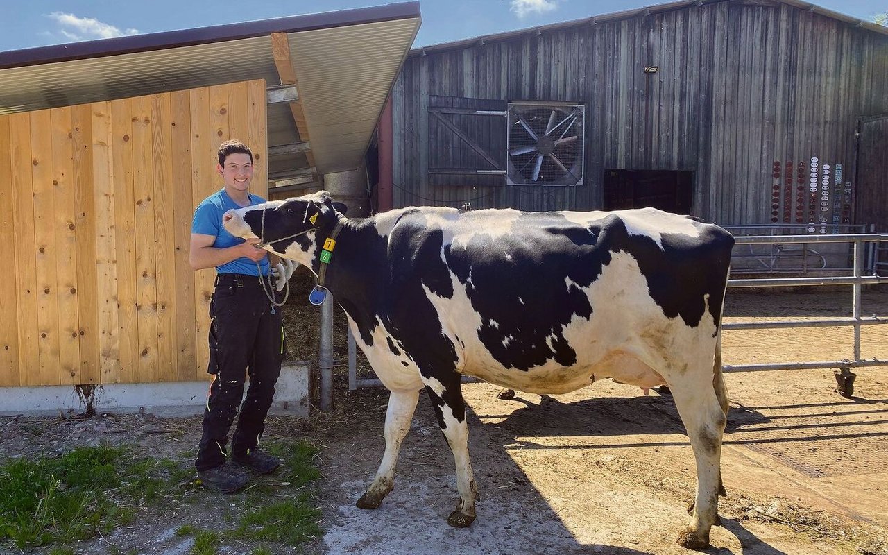 Adrian Frauchiger sagt, seine Kühe müssten robust und praktisch sein und eine gute Milchleistung mit gutem Fett- und Eiweissgehalt haben.