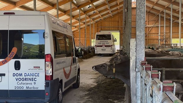 Eine Sonderanfertigu Eine Sonderanfertigung der Eingangstore war nötig, damit die Reisecars durchs Tenn fahren können. Bei der Stallarbeit am Morgen plötzlich von einer Gruppe Touristen überrascht zu werden, ist nicht ungewöhnlich.