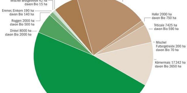 Spielt das Wetter mit, dürfte insbesondere im Bio-Label mehr Getreide geerntet werden. Vor allem Brotgetreide wird in grösseren Mengen angebaut.