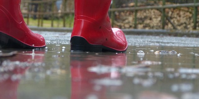 Die Praxis, sprich Branchen- und Produzentenorganisationen seien dazu aufzufordern, realisierte und geplante Massnahmen für den Bund aufzulisten. Dieser soll nach Meinung der Igas basierend darauf seine eigenen Massnahmen nochmals evaluieren. (Bild Pixabay)