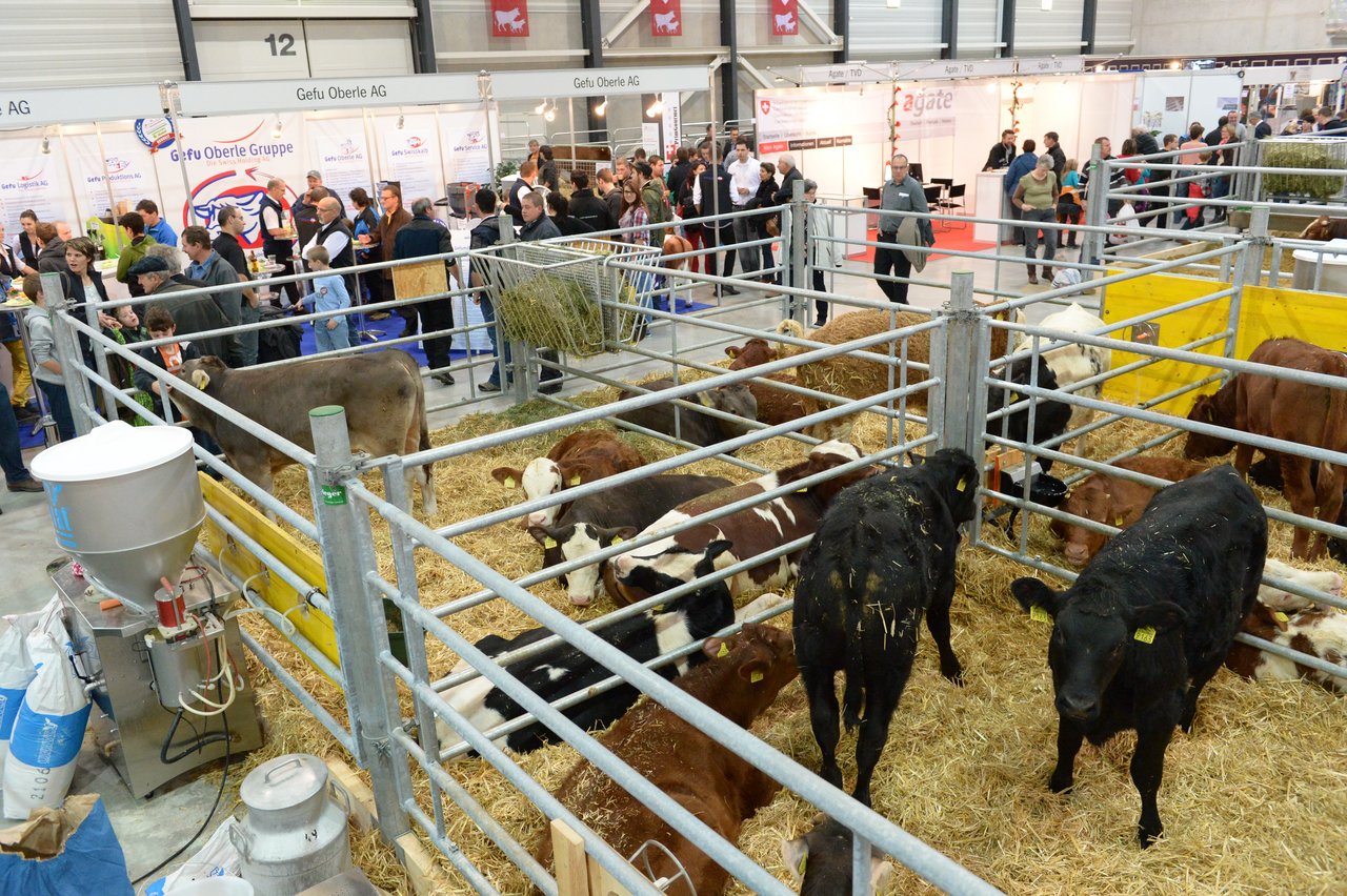 An der Suisse Tiere treffen sich die Nutztierhalter. (Bild Messe Luzern AG)