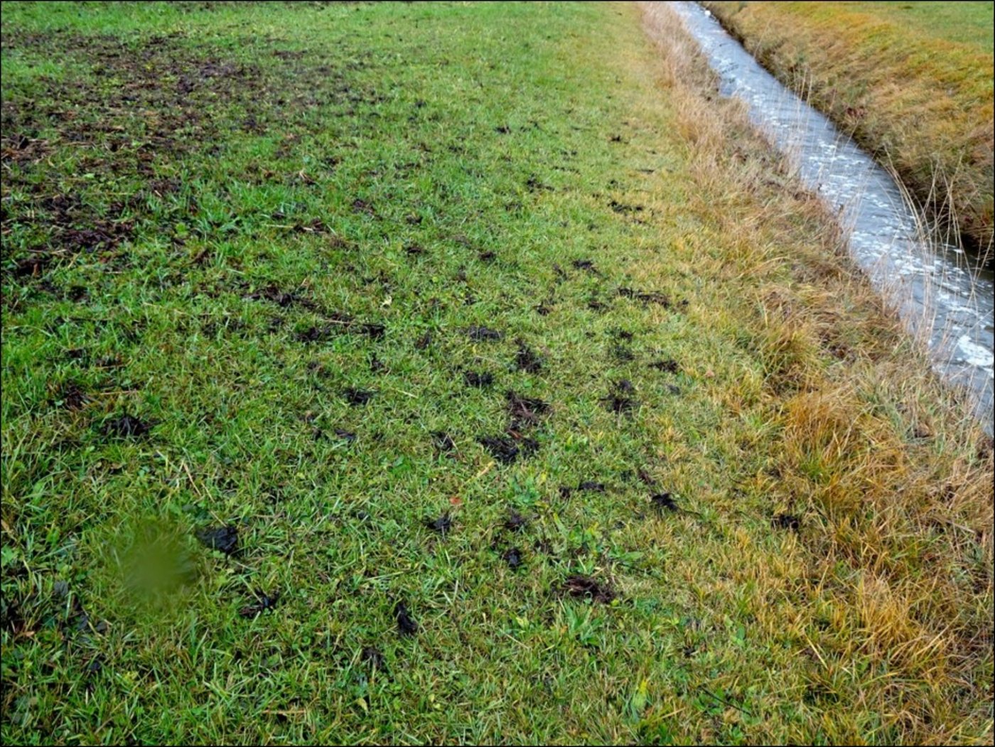 Da wurde der vorgeschriebene Abstand beim Ausbringen von Mist nicht eingehalten.s 