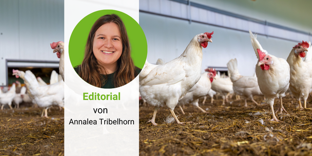 Damit LandwirtInnen am Schluss nicht auf den Mehrkosten sitzen bleiben, müssen alle Akteure der Wertschöpfungskette eine Zahlungsbereitschaft garantieren. 