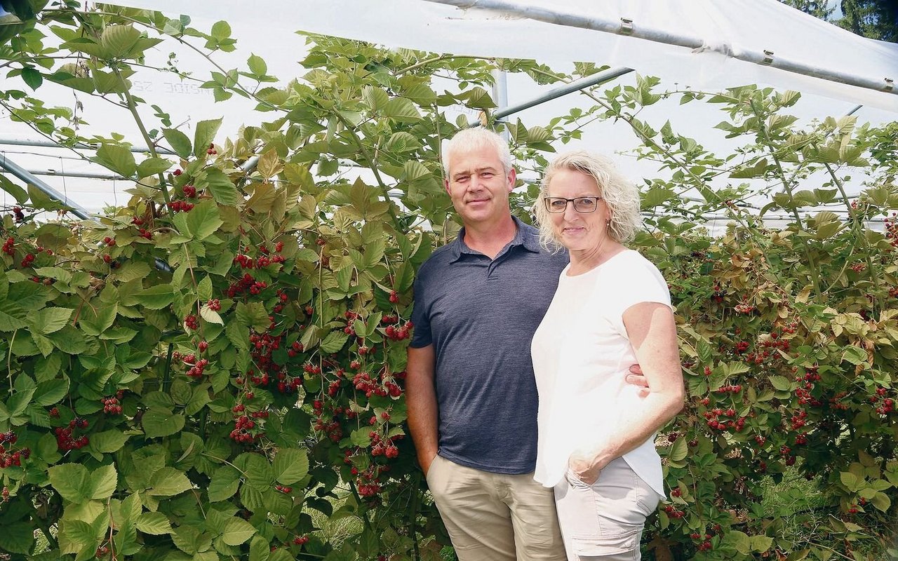 Franz Krummenacher und Yvonne Thali in ihrem Beerenparadies.