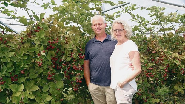 Franz Krummenacher und Yvonne Thali in ihrem Beerenparadies.