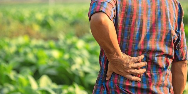 Gesundheit ist der wichtigste von zwölf Lebensbereichen für die bäuerliche und nichtbäuerliche Bevölkerung.