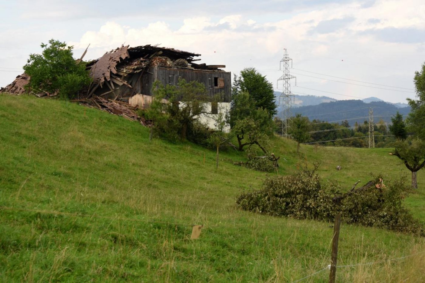 In einer eng begrenzten Schneise wurden noch etliche Bäume in der Nähe des Hauses gefällt.