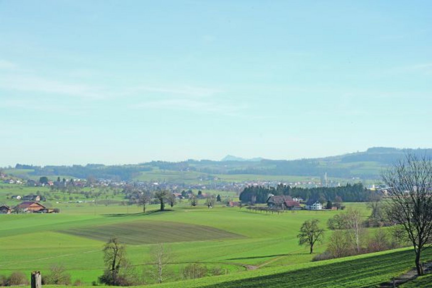 Fast alle Bauern bewirtschaften Pachtland. Nur wenige sind aber beim Pächterverband dabei. (Bild ag)