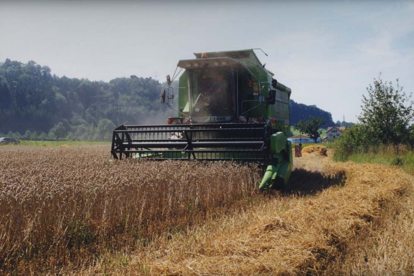 Der Hitzesommer wirkt sich auch auf die Getreide-Ernte aus. (Bild lid)