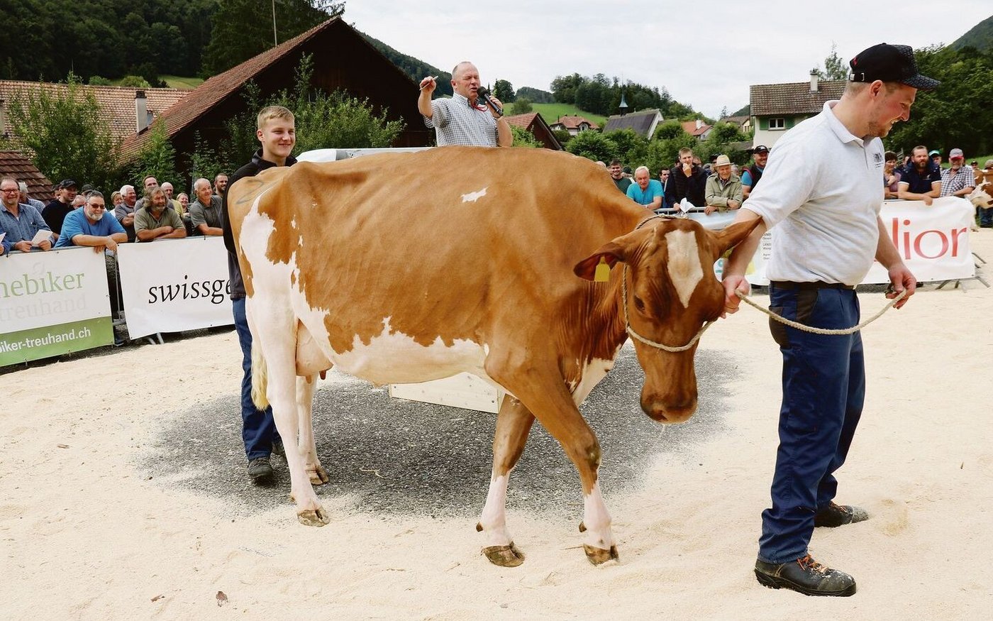 Die teuerste Kuh des Tages (4650 Franken): Dice Pennsylvania von Markus Schläfli-Marti aus Horriwil.