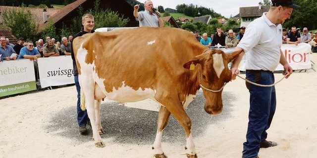 Die teuerste Kuh des Tages (4650 Franken): Dice Pennsylvania von Markus Schläfli-Marti aus Horriwil.