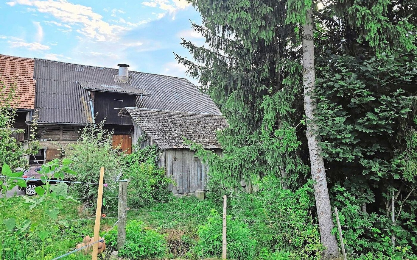 So idyllisch das Wohnen in Waldnähe sein kann, bringt es auch ein gewisses Risiko mit sich – zum Beispiel wenn ein Baum auf die Remise fällt.       