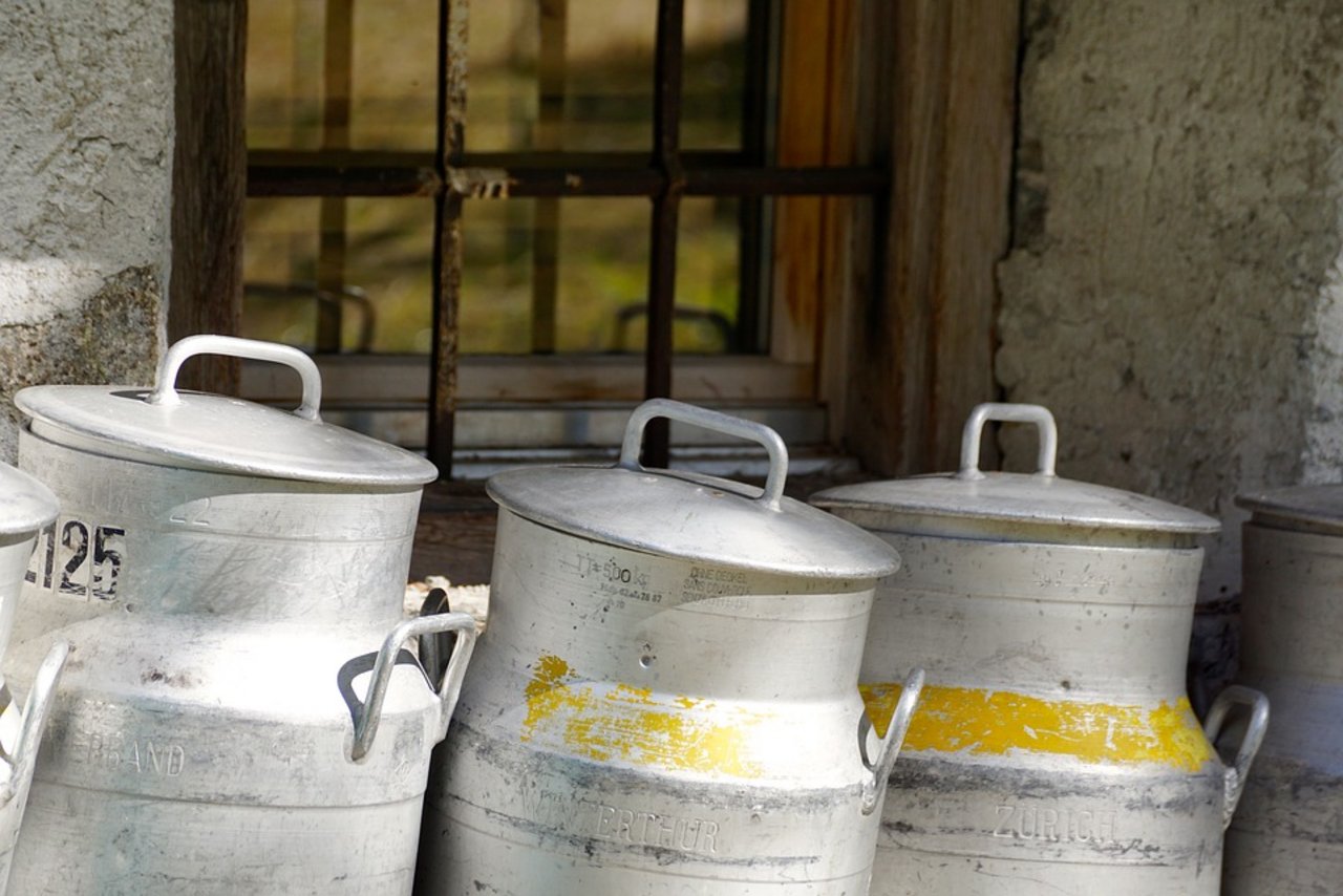 Ziel des Rohmilch-Tages ist es laut Uniterre, «um die Vermarktung von Rohmilch in lokalen Kreisläufen unter fairen Bedingungen weiter zu entwickeln». (Bild Pixabay)