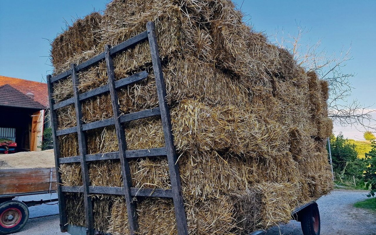 Auf vielen Bauernhöfen lagern zahlreiche Vorräte, die es an Neujahr zu bewerten gilt. Publiziert werden die Richtzahlen vom Treuhandverband Landwirtschaft Schweiz, Treuland.