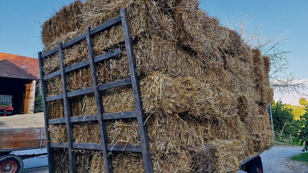Auf vielen Bauernhöf Auf vielen Bauernhöfen lagern zahlreiche Vorräte, die es an Neujahr zu bewerten gilt. Publiziert werden die Richtzahlen vom Treuhandverband Landwirtschaft Schweiz, Treuland.