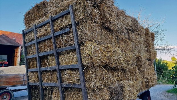 Auf vielen Bauernhöf Auf vielen Bauernhöfen lagern zahlreiche Vorräte, die es an Neujahr zu bewerten gilt. Publiziert werden die Richtzahlen vom Treuhandverband Landwirtschaft Schweiz, Treuland.