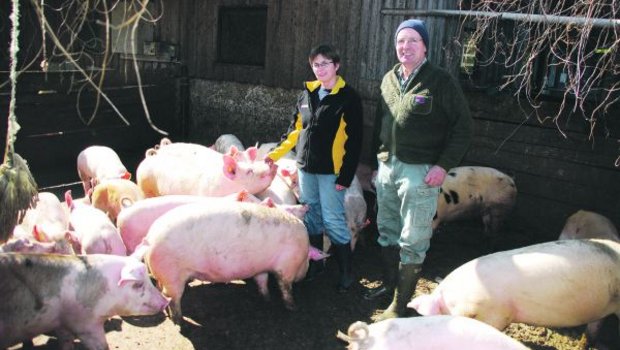 Hans und Ursula Feuz inmitten ihrer «Kräuterschweine». Alle Ferkel werden auf dem Betrieb Bärlischwand gemästet; deren Fleisch wird direkt ab Hof verkauft. (Bild Ruth Bossert)