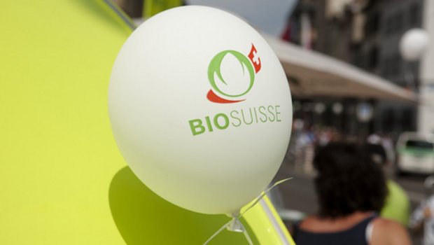 Der Zuwachs an Marktanteilen geht für Bio Suisse munter weiter, allerdings stockte es 2019 bei Milch und Fleisch. (Bild Archiv)