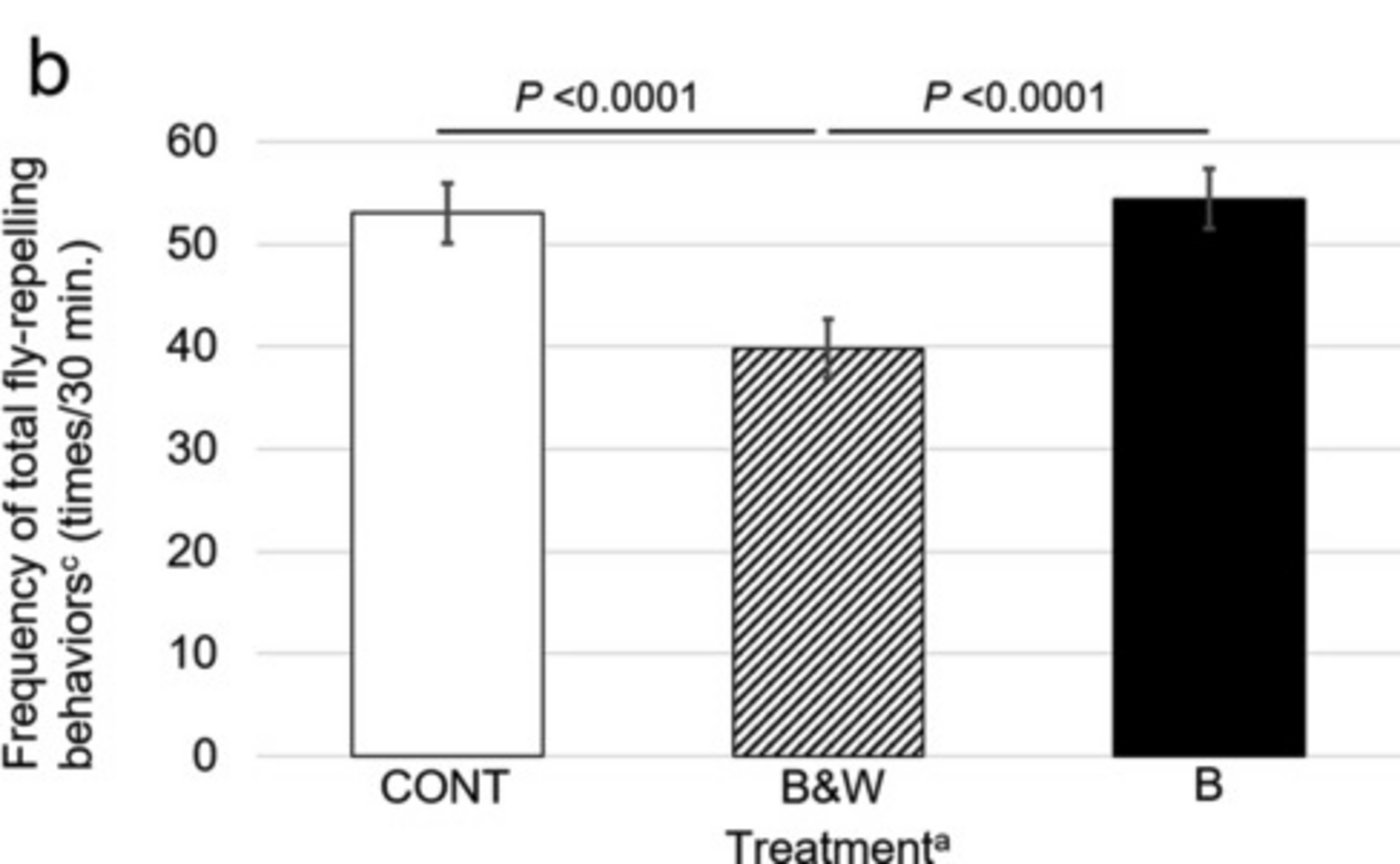 Die bemalten Kühe mussten sich weniger häufig gegen Bremsen abwehren.