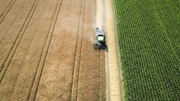 Andere Dimensionen: Andere Dimensionen: Ein Mähdrescher auf einem Getreidefeld bei der Ernte in Deutschland.