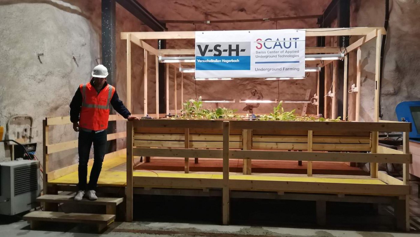 Der Verein Scaut betriebt im Stollen eine Aquaponik-Anlage.