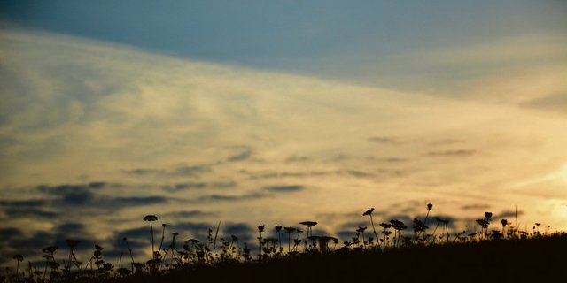 Auch wenn das Licht noch da ist, unmittelbar um Menschen, die in einer Krise stecken, ist es dunkel. Das Schöne wird unsichtbar. Die Freude weicht aus dem Leben. Dann tritt unweigerlich die Suizidgefahr in Erscheinung. (Bild sb)