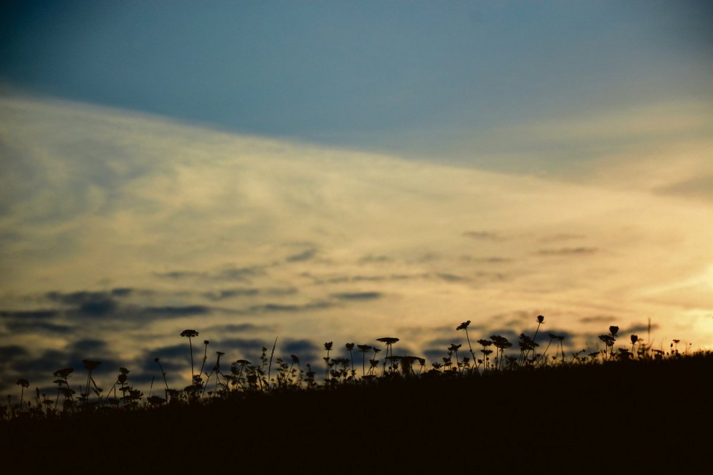 Auch wenn das Licht noch da ist, unmittelbar um Menschen, die in einer Krise stecken, ist es dunkel. Das Schöne wird unsichtbar. Die Freude weicht aus dem Leben. Dann tritt unweigerlich die Suizidgefahr in Erscheinung. (Bild sb)