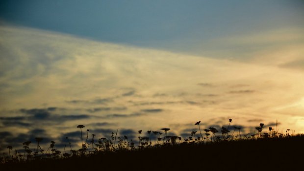 Auch wenn das Licht noch da ist, unmittelbar um Menschen, die in einer Krise stecken, ist es dunkel. Das Schöne wird unsichtbar. Die Freude weicht aus dem Leben. Dann tritt unweigerlich die Suizidgefahr in Erscheinung. (Bild sb)